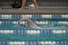 Swim vs Bentley  Wheaton College Swimming & Diving vs Bentley University. - Photo by Keith Nordstrom : Wheaton, Swimming & Diving